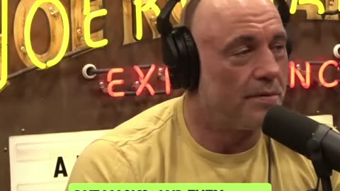 Joe Rogan Raises SERIOUS Questions About the 2020 BLM Riots