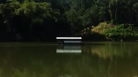 12.7.2024 Kuranda Riverboat, Still Water Cruises