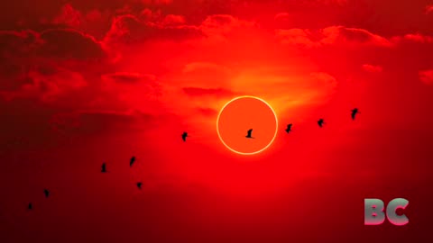 Annular solar eclipse turns the sun into a dramatic ‘ring of fire’