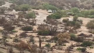 Flash Flood Forces Cars to Higher Ground