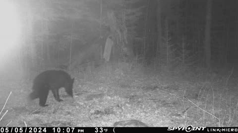 TRAIL CAM UPLOAD