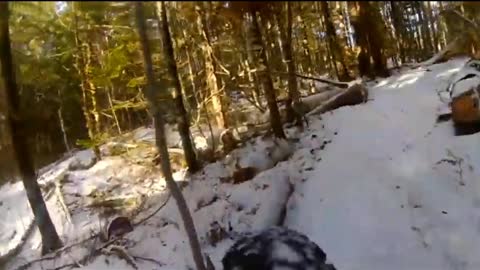 Fat biking on single track