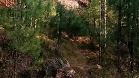 Mountain view in Pakistan