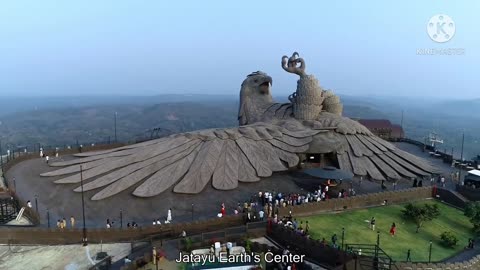 The largest bird