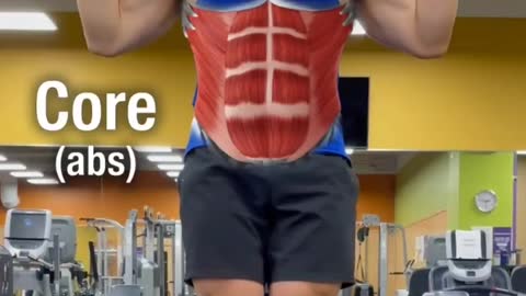 ✅ Contract your core for stronger pullups!