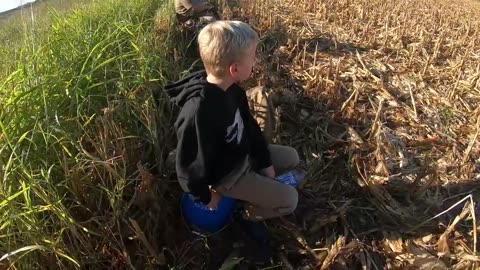 Opening Day 2024 Dove Hunting Using My Brand New Shotgun!!