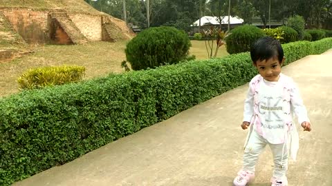 Baby Walking in the Garden