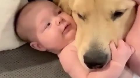 Adorable Baby and Dog Playing - Best Buddies Forever