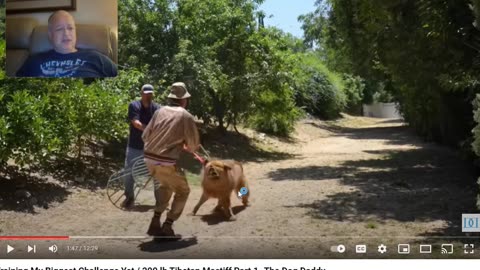 The Dog Daddy - If you need a Chair to Block a Dog your probably not dialed into the Relationship