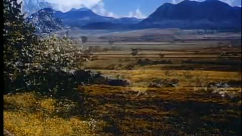 Charles & Ray Eames’ Short Film on the Mexican Day of the Dead (1957)