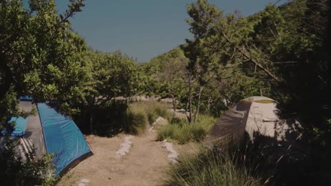 Campground between trees