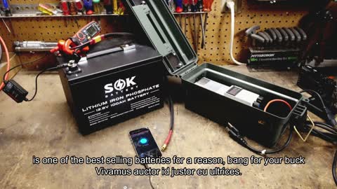 SOK 206ah battery