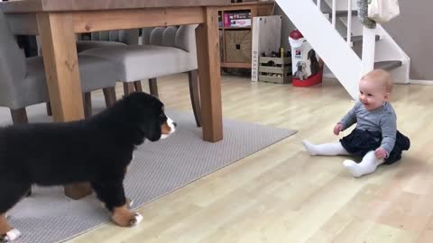 Baby in a head to head with Dog