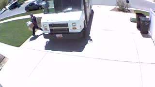 FedEx Driver Part 2