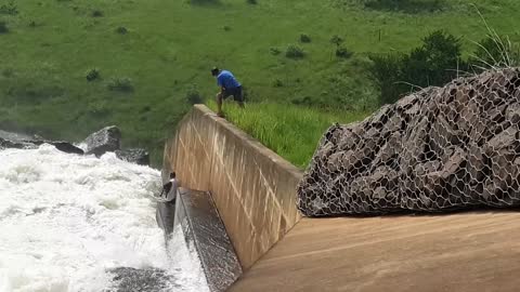 Dog Washed over Dam Wall is Rescued