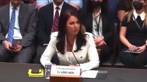 Tulsi Gabbard Challenges "Single Source of Truth" Political Ideology