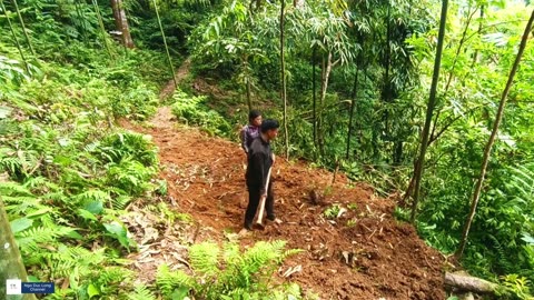 Survival in the wild forest - Girl builds a bamboo house on sloping forest land Part 1