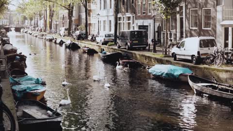 Amsterdam, Netherlands. river with water birds and boats