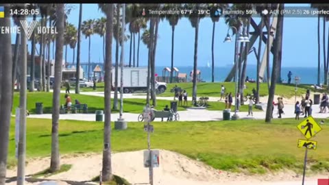 LIVE CAM 24/7 VENICE BEACH CALIFORNIA ! THE BEACH LIFE !!!