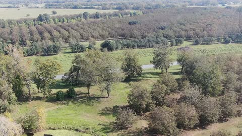 Old Pecan Plantation Mission, November 11, 2020