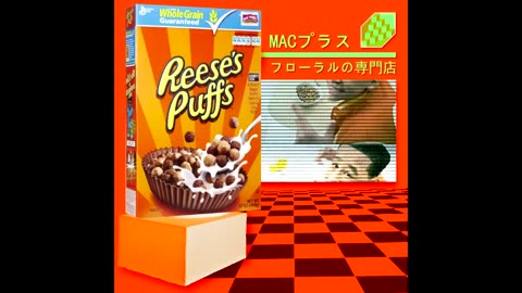 MACINTOSH PUFFS - REESE'S 420 ⧸ ピーナッツバター チョコレート [W99a4buZ358]