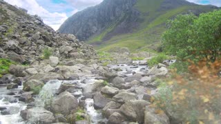 Peaceful Mountain Stream