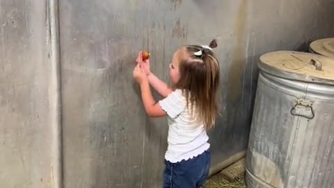 Small girl shows love with horses