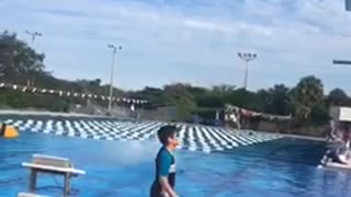 Man black and white shorts belly flop pool