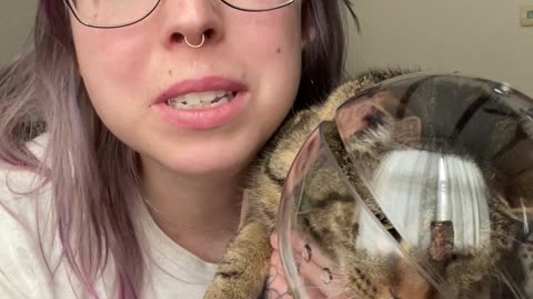 Helmet Helps With Clipping a Spicy Kitty’s Nails