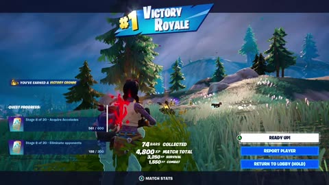 FORTNITE Winning 10