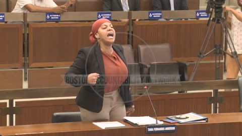 Condensed Version of Boston City Councilor Tania Anderson Losing her Temper