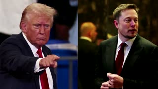 Trump proposes role for Elon Musk on an 'efficiency commission'