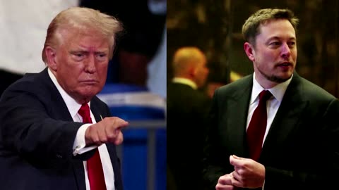 Trump proposes role for Elon Musk on an 'efficiency commission'