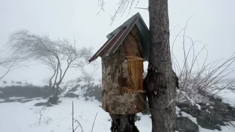 Caught And Cooked Trout Inside Logs! Life In The Distant Snowy Mountains