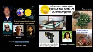 SHUNGITE REALITY 8-28-2024 - Targeted Individuals & Shungite