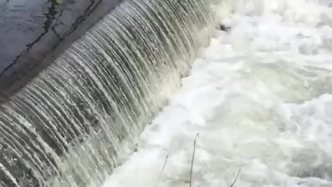 small waterfall on the creek