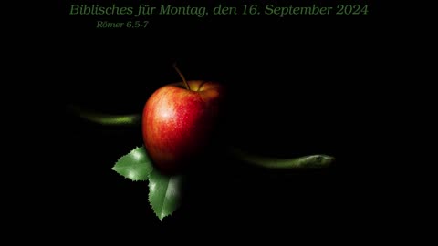 Biblisches für Montag, den 16. September 2024 zu Römer 6,5-7