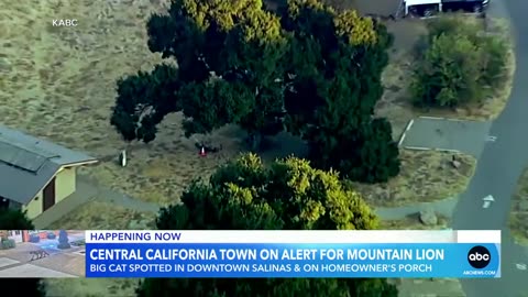 Central California town on alert for mountain lion