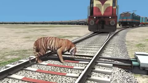 LION & TIGER VS TWO TRAINS | Stops The Trains