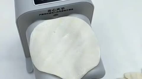 Revolutionize Your Kitchen: The Dumpling Maker That's Faster Than a Ninja!