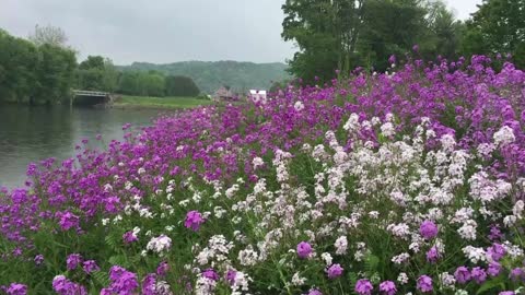 Springtime in Southwestern PA