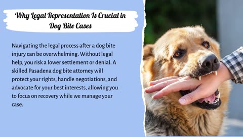 Protecting Your Rights After a Dog Attack: The Importance of Legal Representation