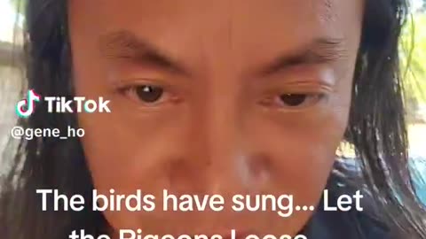 Gene Ho - The birds have sung