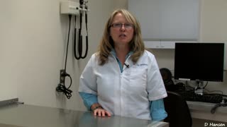 A Vet Discusses Dog Pregnancy