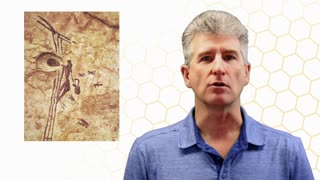 Honeybee Archeology