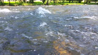 Watauga river