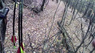 Archery Hunting In Late October