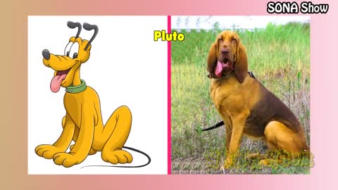 🐶 Dogs Cartoon IN REAL LIFE 💥 All Characters