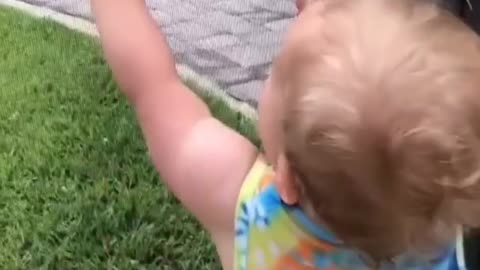 Little Boy Catching a Lizard, Unbelievable Speed, No fear