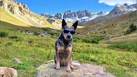 Alpine Zone 14er Handies Peak September 2023 San Juan Rocky Mountains Hike Climb Lake City Colorado Alpine Loop